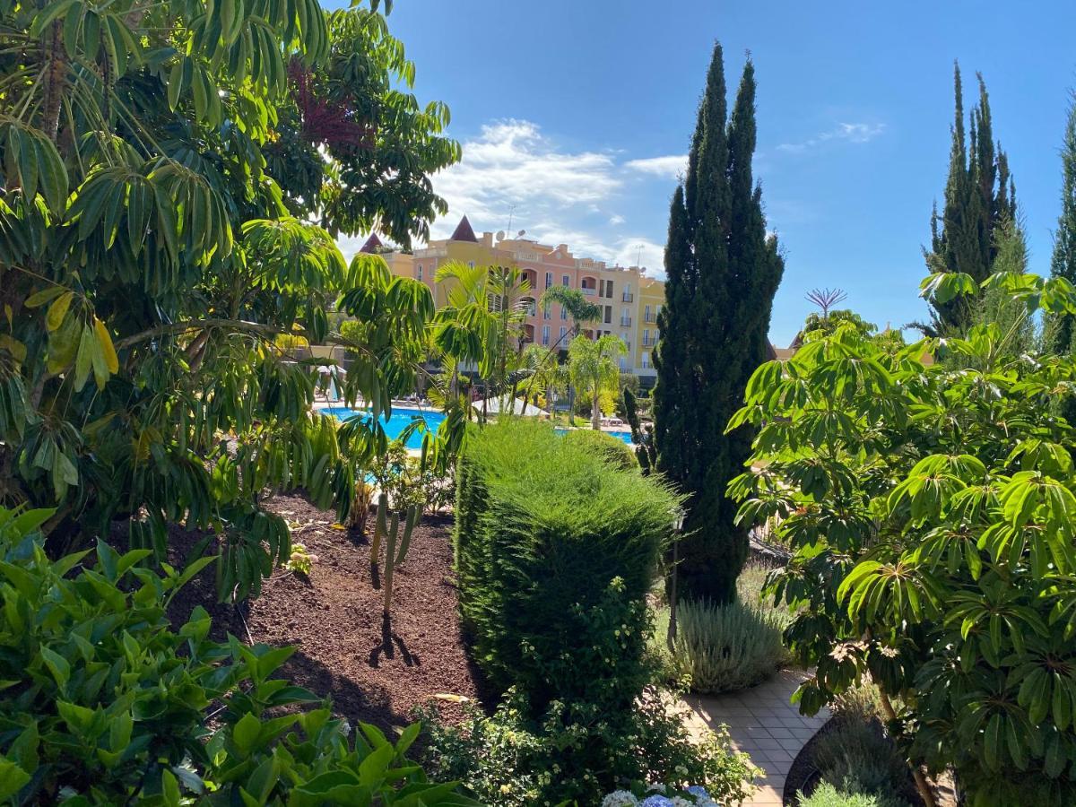 La Quinta Suite Home Share Santa Úrsula Dış mekan fotoğraf