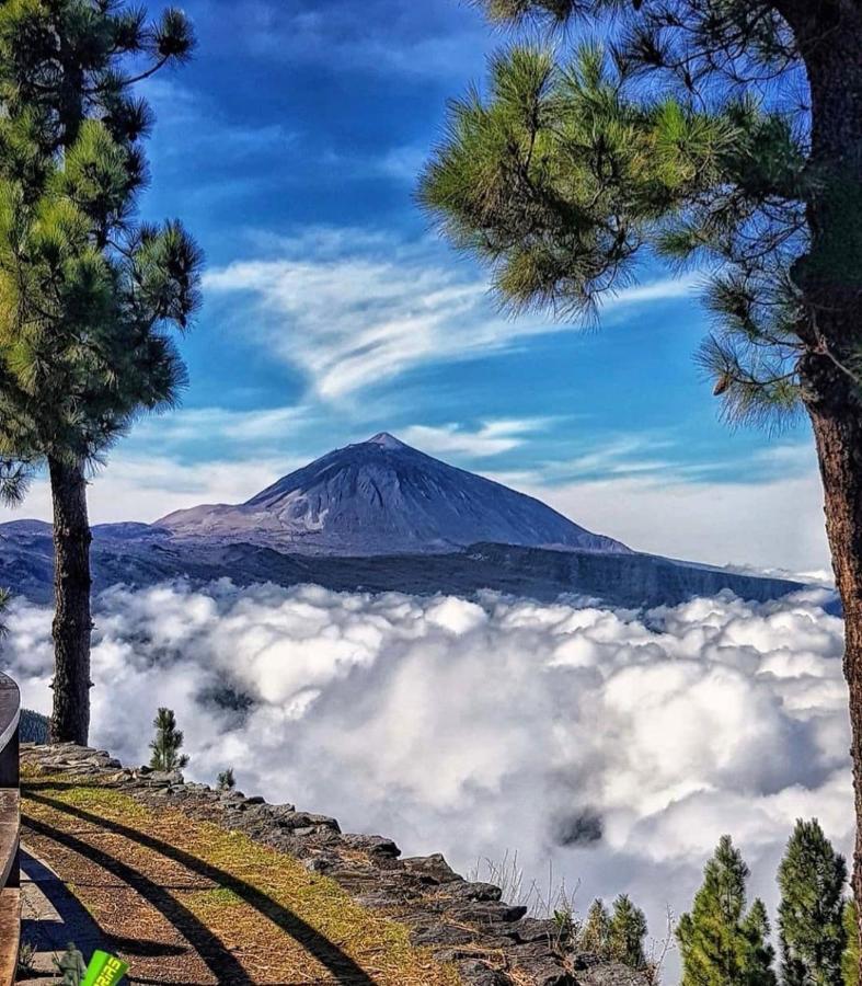La Quinta Suite Home Share Santa Úrsula Dış mekan fotoğraf